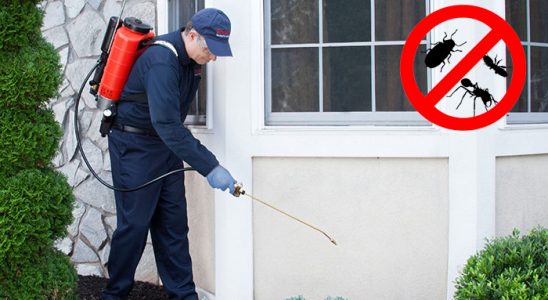 Ünye Böcek İlaçlama böcek ilaçlama ve haşere kontrolü — ilaclama-tr.com